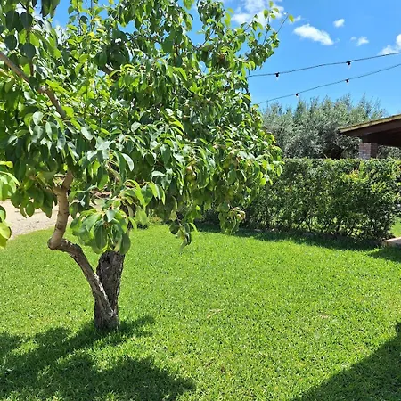 Casa Le Antiche Macine Bilocale Immerso Fra Gli Ulivi Sciacca